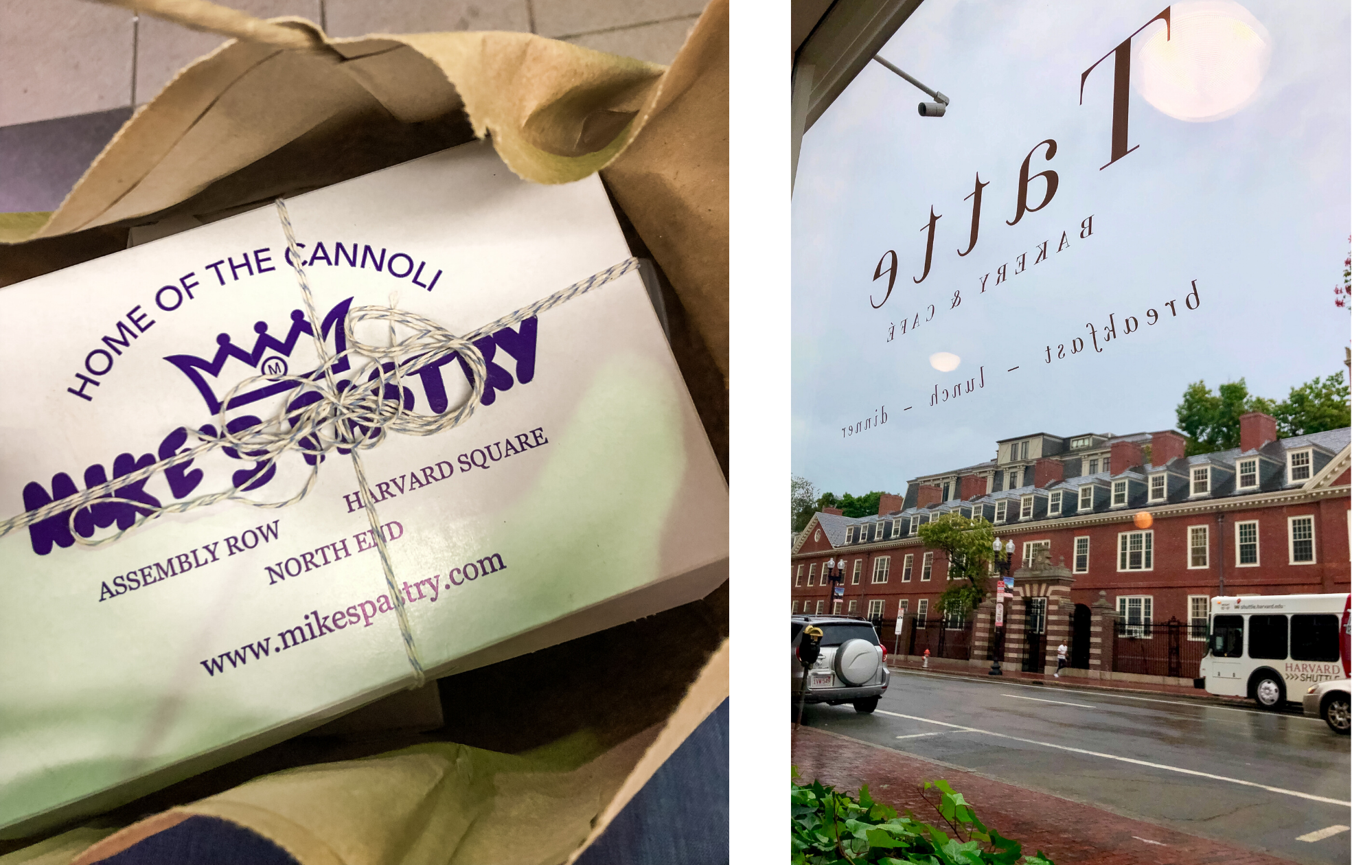Home of the Cannoli – North End, Harvard Square, Assembly Row – Boston, MA
